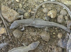 sb2014.7.22 2.jpg